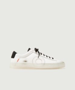 Low 1 | Yin Yang (Orthopedic)